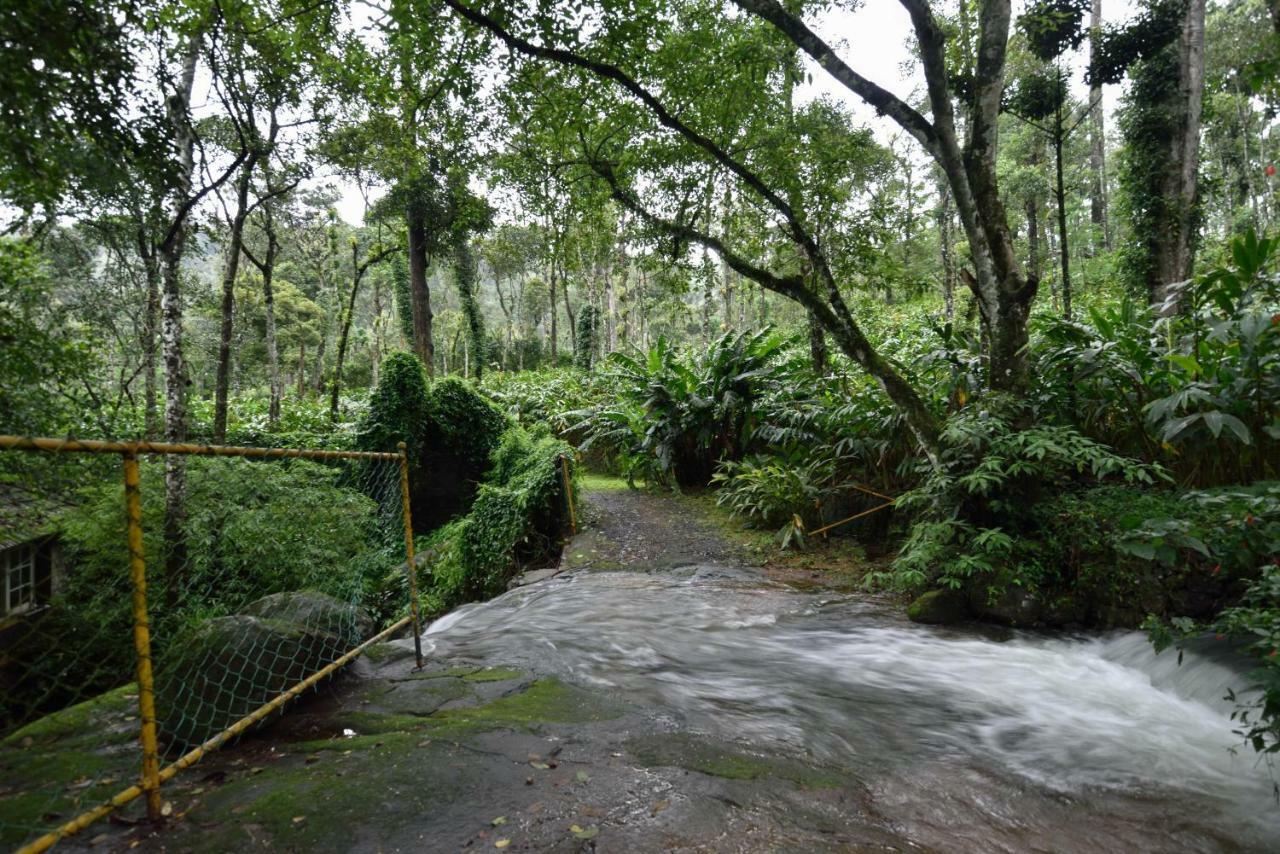 Mystic Mayapott, Thekkady Exterior foto